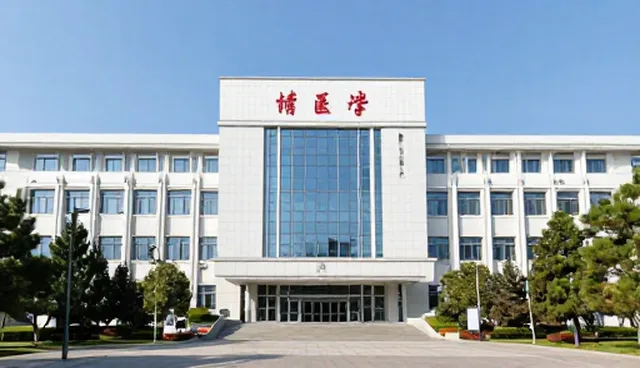 技术外包服务选型中的性能优化关注点